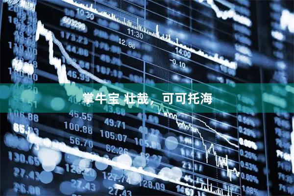 掌牛宝 壮哉，可可托海